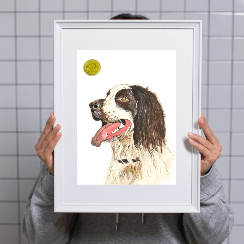 "Cavalier King Charles Spaniel" Limited Edition Prints